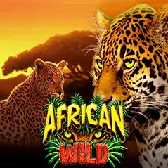 African Wild